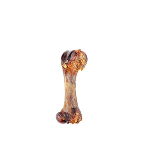 Femur Suíno